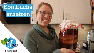 Kombucha ansetzen und pflegen – der fermentierte Tee