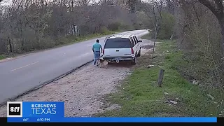 Dallas police, PETA looking to identify man seen on video dumping dog on Dowdy Ferry Road