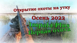 Открытие охоты на утку Осень 2022, новое ружье Impala Plus Импала плюс Первая охота #открытие #охота