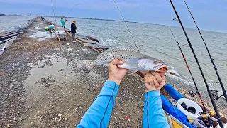 So many overslot Speckled Trout will die: Easy limits of huge fish at Surfside Jetty (S7 E68)