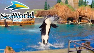 [2021] ORCA ENCOUNTER FULL SHOW SEAWORLD SAN DIEGO