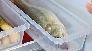 Как хранить рыбу: это надо знать