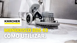 Suelos grasos y rugosos: fregadora monodisco BDS 43