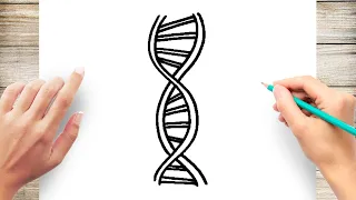 How to Draw DNA