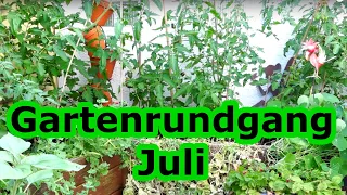 Garten Rundgang Juli | Hitzewelle im Gemüsegarten | Mein Garten im Juli | Gartenarbeit