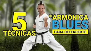 🥋 5 TÉCNICAS de ARMÓNICA BLUES para DEFENDERTE TOCANDO | HARPVARD