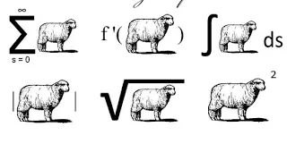 Sheep Math