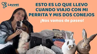 ESTO ES LO QUE LLEVO EN LA MALETA CUANDO VIAJO CON MI PERRO y MIS DOS CONEJOS - Lauvet