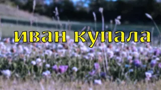 Иван Купала  на Руси | Когда цветет папоротник | Язычество обряды и мистика Славян | Мифология