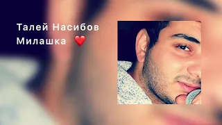 Талей Насибов Милашка хочу с тобою ❤️ #песня #ялюбви