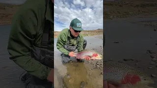 Jurassic Lake Patagonia | Rainbow Trout Release