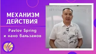 Global Trend Company/Механизм действия Pavlov Spring и нано бальзамов