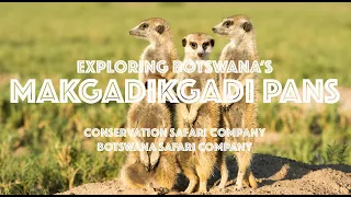 Visit the Makgadikgadi Pans with Botswana Safari Company [Hi-def]