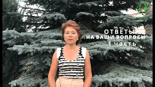 Ответы на Ваши вопросы -1 часть. Слепые побеги. Нет Базальных побегов у Супер Гранд Аморе