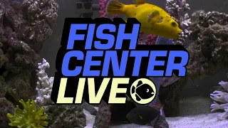 Fishcenter - January 7, 2019