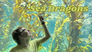 The Enchanting World of Sea Dragons: Explore Now