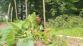 Garden work and lots of berries