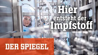 BionTech in Marburg: So entsteht der mRNA-Impfstoff gegen Corona | DER SPIEGEL