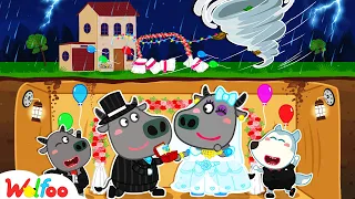 Storm is Coming! Wolfoo Makes Wedding Anniversary for Bufo's Parents Underground🤩Wolfoo Kids Cartoon