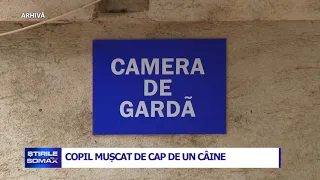 COPIL MUSCAT DE CAP DE UN CAINE