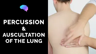 Percussion & Auscultation of the Lungs - OSCE Guide | Clip