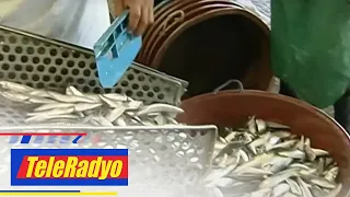 Ilang poultry farm sa Batangas tumigil muna sa operasyon | TELERADYO BALITA (19 Jan 2023)