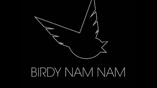 Birdy Nam Nam Live 2016 [FULL]