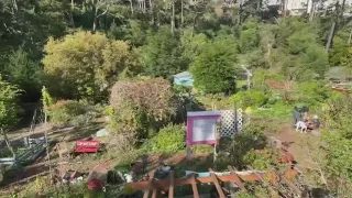 Daly City cash crunch pushes city to develop land occupied by community garden