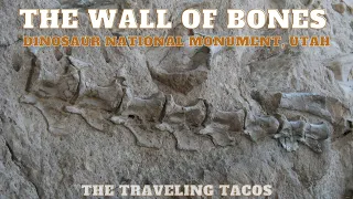 The Wall of Bones in Dinosaur National Monument - The Traveling Tacos - Utah & Colorado Road Trip