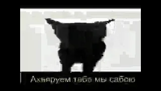 у гушчарах