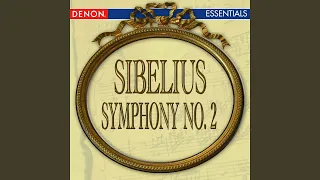 Symphony No. 2 in D Major, Op. 43: I. Allegretto