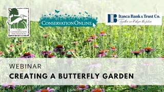 Creating a Butterfly Garden