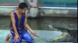 chinese croc hunt