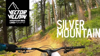 Mountain Bike Lines | Silver Mountain | REI Co-op Cycles DRT 2.1