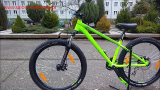 rower Kellys Whip 10 2018 Green www.salon-rowerowy.pl