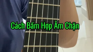 Hướng Dẫn Cách Bấm Hợp Âm Chặn Đàn Guitar