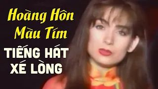 Hoàng Hôn Màu Tím Tiếng hát xé lòng ai nghe cũng khóc | Nhạc Xưa Phi Nhung & Nhiều Danh Ca Hải Ngoại