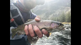 Crooked River Fly Fishing