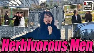 Why Japanese don't have Sex anymore : The Herbivore men problem