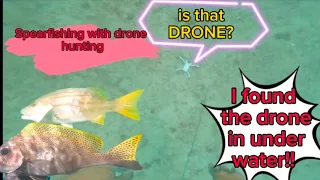 SPEARFISHING AND DRONE HUNTING