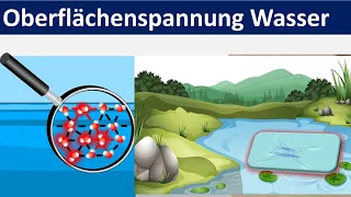 Oberflächenspannung von Wasser [Biologie + Chemie, Mittelstufe]