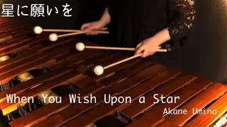 星に願いを　When You Wish Upon a Star(4オクターブ マリンバ)海野茜