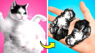 Cat Is Pregnant 😨 | Parenting Hacks For Pet Owner by Mommy Long Legs