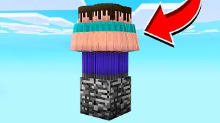 ¡500 FANS vs UN BLOQUE en MINECRAFT!