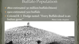 Buffalo Extermination