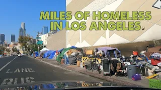 Here's How Bad The Homeless Problem In Los Angeles Is