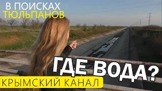 Проблемы с водой в Крыму. Северо-крымский канал. Форосский храм. Дикие тюльпаны Крым 2017