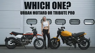 2022 Urban Motard and Tribute Pro Ducati Scrambler / Comparison / Review by Tomboy a bit