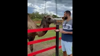 Андрей Скороход   разговор в зоопарке)