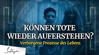 Was passiert in den ersten 14 Tagen nach dem Tod?